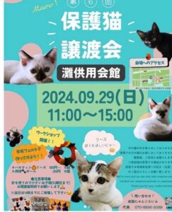 保護猫譲渡会 @ 岩国市灘供用会館